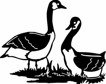 2 Geese