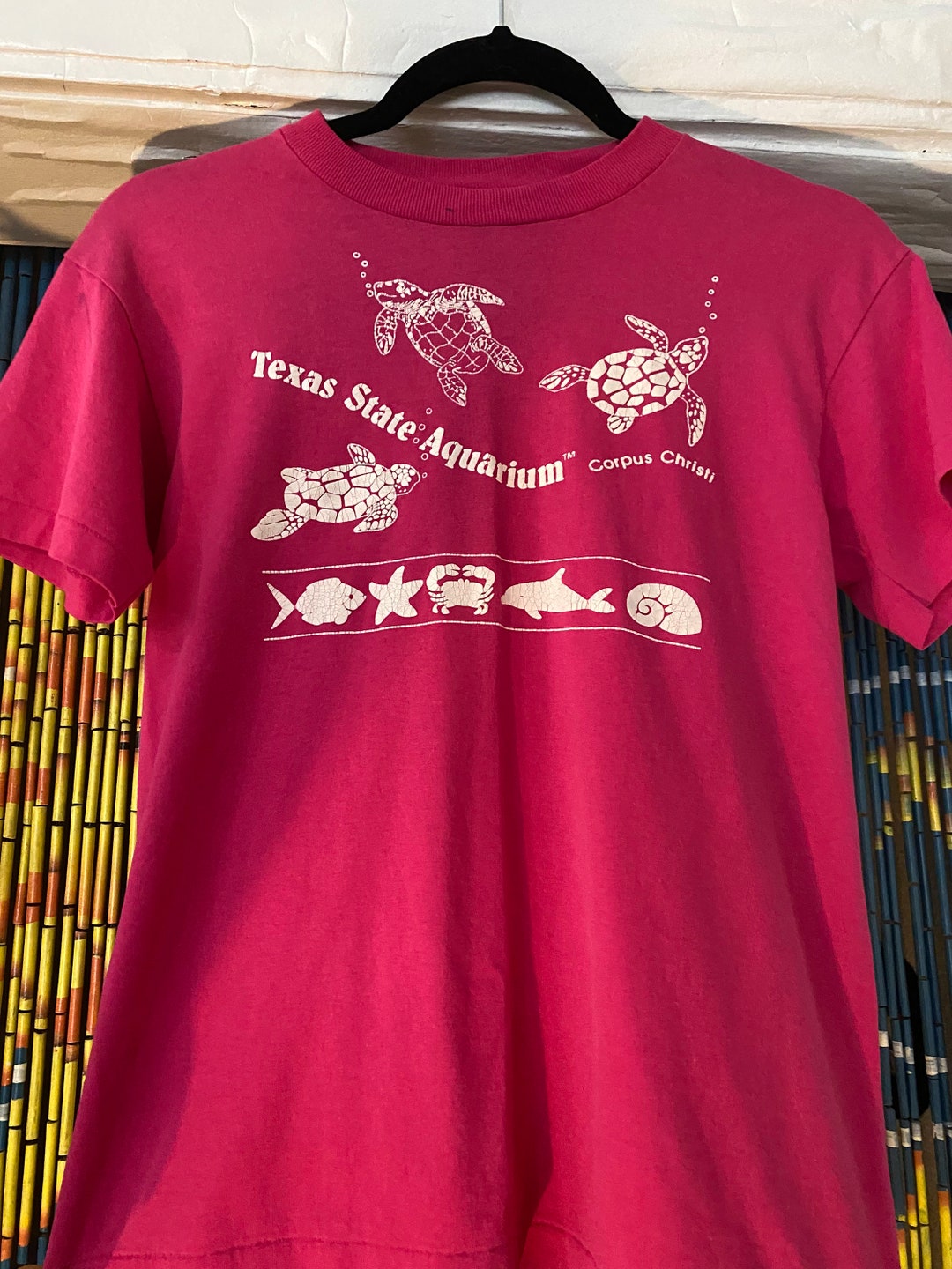 Vintage 90s Texas State Aquarium Corpus Christi Vintage Hanes 50/50