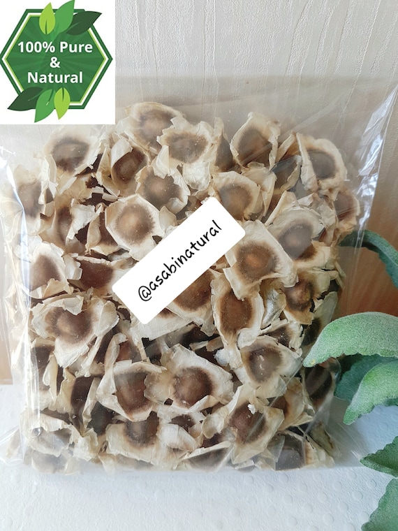 Moringa Seeds Edible Moringa Oleifera Seeds - Organic Superfood Seeds - Etsy