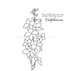 Larkspur Delphinium Coloring Page/Wall Art image 1