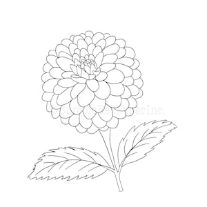 Dahlia (dahlia Pinnata) Coloring Page/wall Art - Etsy