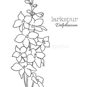 Larkspur Delphinium Coloring Page/Wall Art image 2