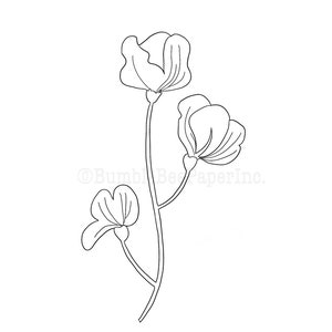 May include: Line drawing of a simple flower with three petals. The flower is on a stem with two leaves.