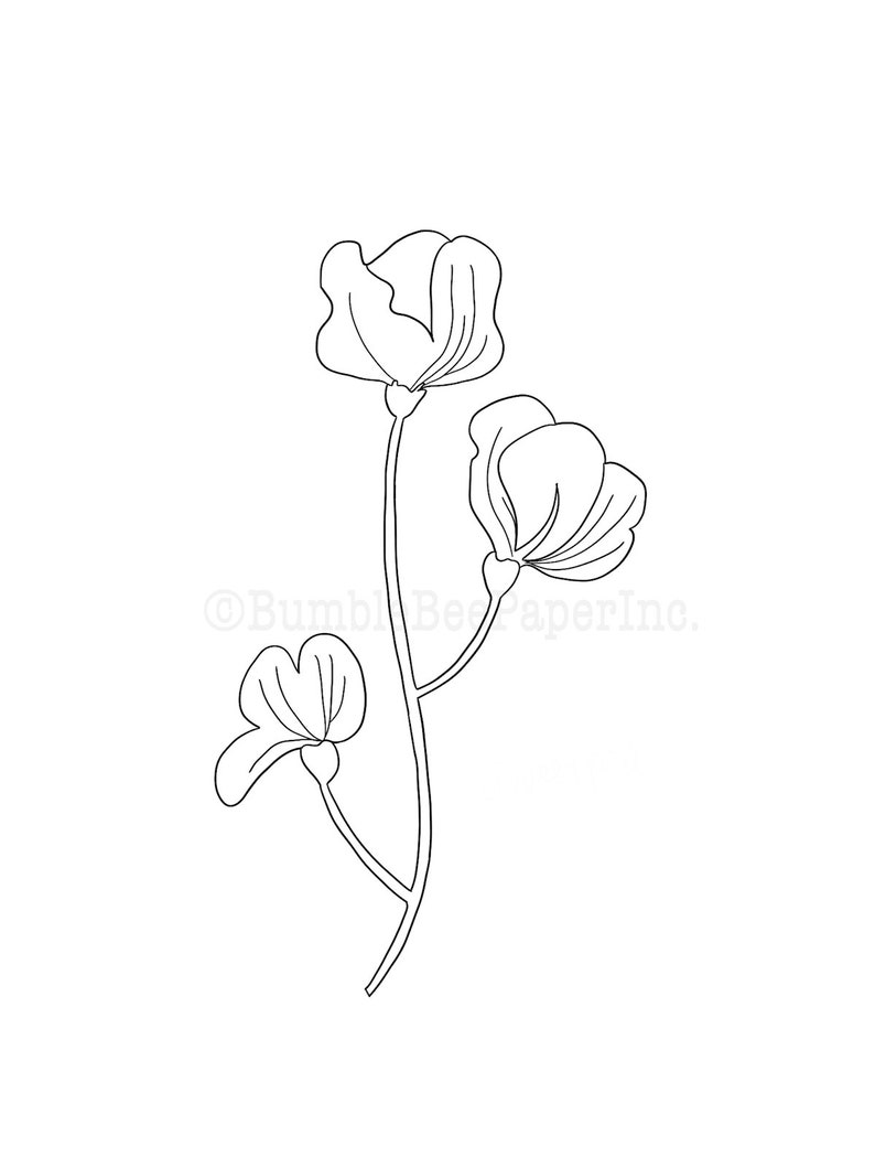 May include: Line drawing of a simple flower with three petals. The flower is on a stem with two leaves.