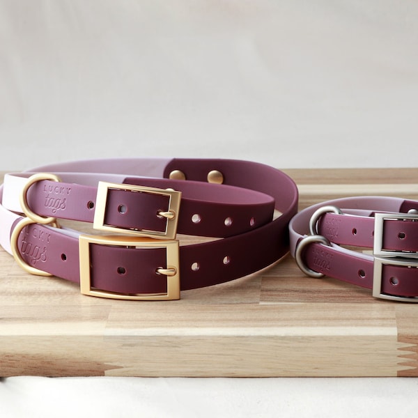 Waterproof Pet Collar • PVC Coated Collar • Washable Dog Collar • Purple Collar • Personalized Dog Collar • Waterproof Leash • Faux Leather