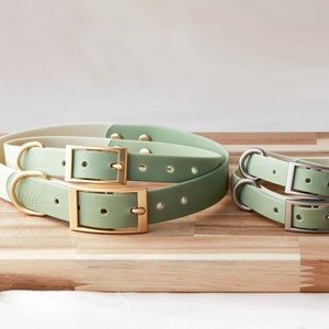 Waterproof Dog Collar • Pet Collar • Green Collar • PVC Coated • Sage Green • Personalized Dog Collar • Waterproof Leash • Faux Leather