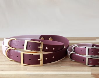 Waterproof Pet Collar • PVC Coated Collar • Washable Dog Collar • Purple Collar • Personalized Dog Collar • Waterproof Leash • Faux Leather
