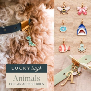 Animal Charms - Cute Pet Tags, Pet Collar Charms, Bee Charm, Butterfly, Fish, Shark, Dinosaur Pet Charm, Pet Jewelry, Dog Collar, Cat Collar