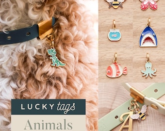Animal Charms - Cute Pet Tags, Pet Collar Charms, Bee Charm, Butterfly, Fish, Shark, Dinosaur Pet Charm, Pet Jewelry, Dog Collar, Cat Collar