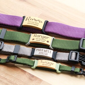 May include: Close-up of four personalized dog collars in purple, green, and gray. Each collar features a metal nameplate with a dog's name and contact information. The collars have black plastic buckles and are displayed on a wooden surface.
