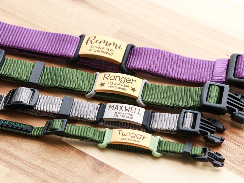 May include: Close-up of four personalized dog collars in purple, green, and gray. Each collar features a metal nameplate with a dog's name and contact information. The collars have black plastic buckles and are displayed on a wooden surface.