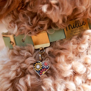 May include: A light green dog collar with a gold buckle and a heart-shaped tag with a floral design. The tag is attached to a gold chain. The collar has a gold tag with the name "Millie", a phone number, an address, and the word "Microchip".