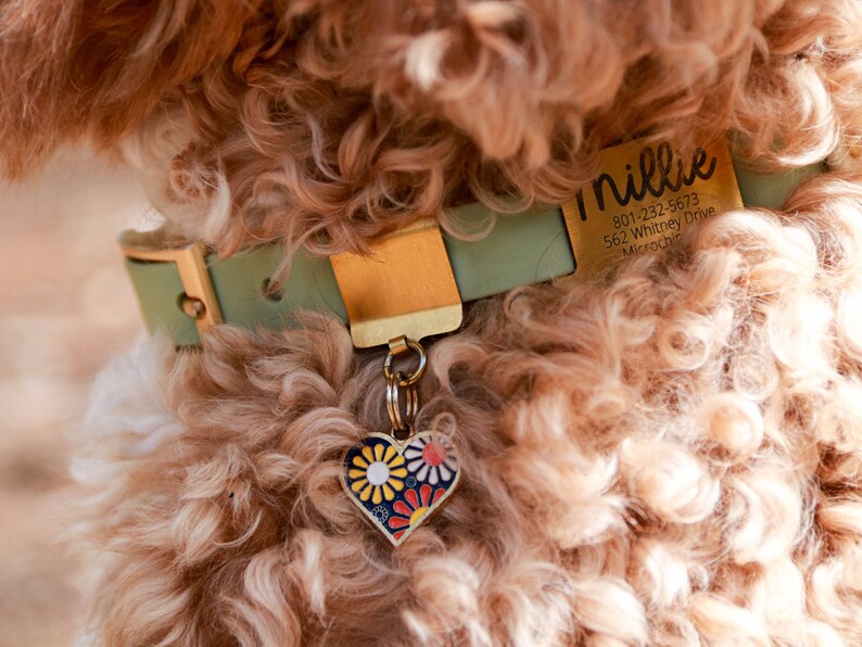 May include: A light green dog collar with a gold buckle and a heart-shaped tag with a floral design. The tag is attached to a gold chain. The collar has a gold tag with the name "Millie", a phone number, an address, and the word "Microchip".