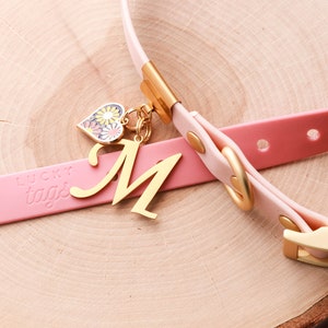 May include: A pink leather dog collar with a gold buckle and a charm with a floral heart and the letter "M" on it. The charm is attached to the collar with a gold chain. The collar has the words "Lucky Tags" embossed on it.