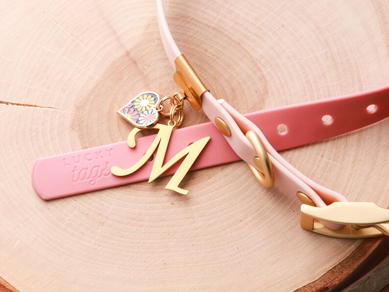 May include: A pink leather dog collar with a gold buckle and a charm with a floral heart and the letter "M" on it. The charm is attached to the collar with a gold chain. The collar has the words "Lucky Tags" embossed on it.