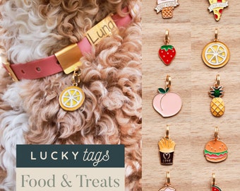 Treats Collar Charms - Pet Charm, Pet Jewelry, Pet Accessories, Cat Collar, Dog Collar, Cute Treat Charms, Ice Cream, Strawberry, Watermelon