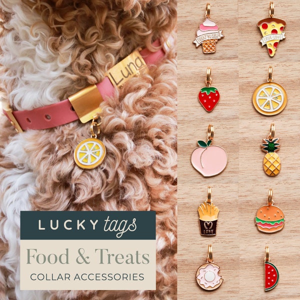 Treats Collar Charms - Pet Charm, Pet Jewelry, Pet Accessories, Cat Collar, Dog Collar, Cute Treat Charms, Ice Cream, Strawberry, Watermelon