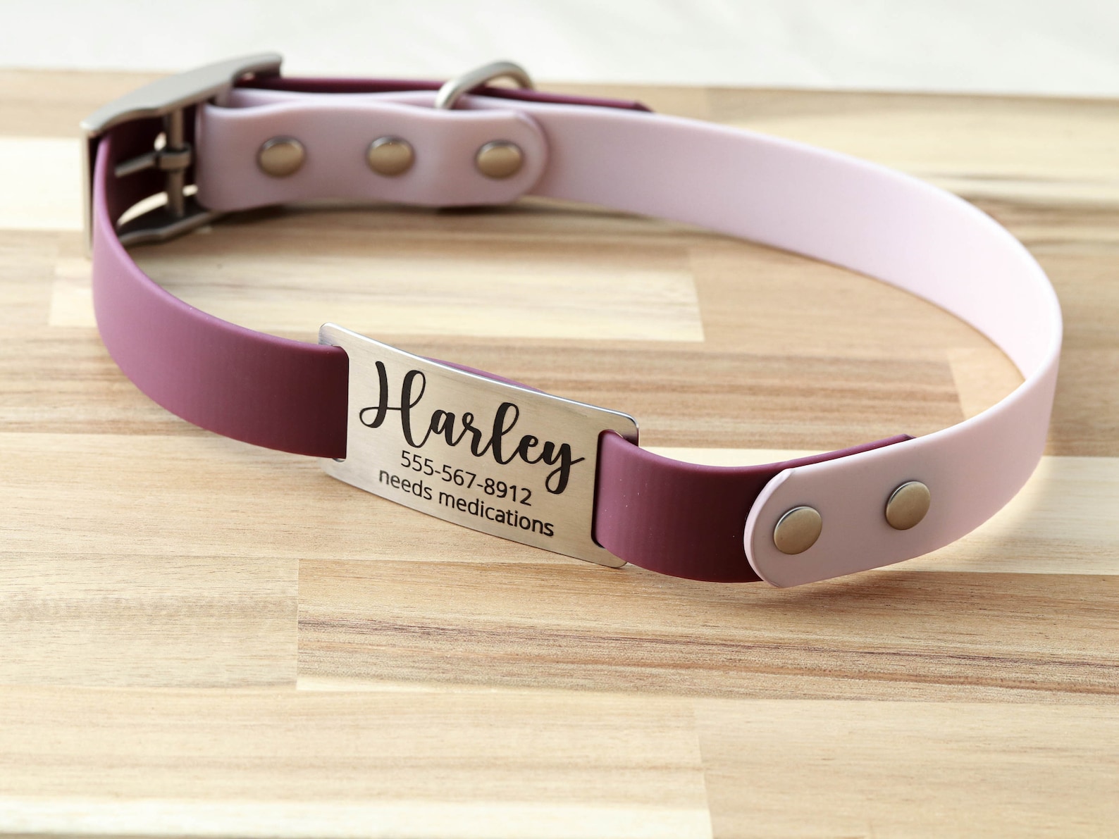 Personalized Dog Collar Custom Pet Collar Personalized Etsy