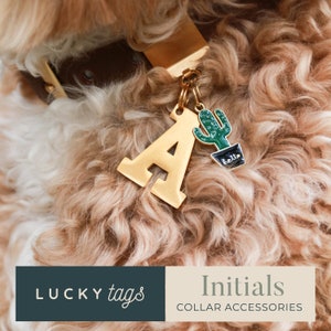 Letter Dog Charm Etsy