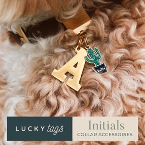 Pet Collar Charm - Letter Tag, Initial Charm, Personalized Pet Tag, Collar Accessory, Collar Charm, Pet Jewelry, Initials for Dogs Cats BLCK