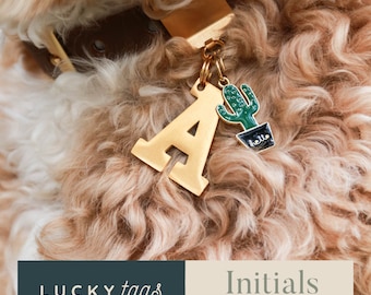 Letter Charm for Pet Collar Personalized Dangle Charm Initial Dog Clip on Collar Large Letter Accessory for Custom Cat Collar Jewelry BLCK