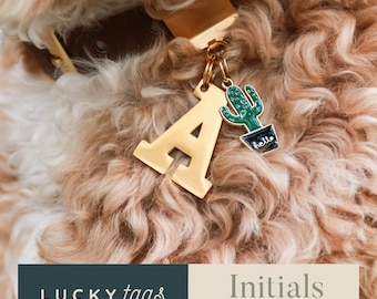 Pet Collar Charm - Letter Tag, Initial Charm, Personalized Pet Tag, Collar Accessory, Collar Charm, Pet Jewelry, Initials for Dogs Cats BLCK