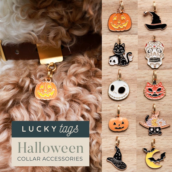 Halloween Collar Charms - Pet Jewelry, Collar Accessory, Personalized Tags, Cat Collar Charm, Dog Collar Charm, Pet Gifts, Holiday Pet Charm