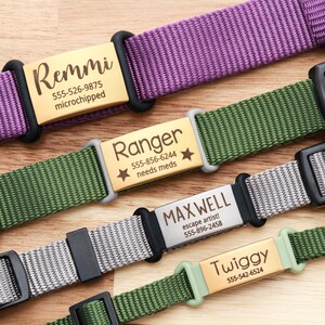 May include: Close-up of four personalized dog collars in purple, green, gray, and green. Each collar features a metal nameplate with a dog's name and contact information. The collars have black plastic buckles and are made of durable nylon.