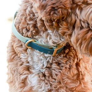 Waterproof Dog Collar Pet Collar Teal Collar PVC Coated Waterproof Personalized Dog Collar Faux Leather Collar Teal Blue image 5