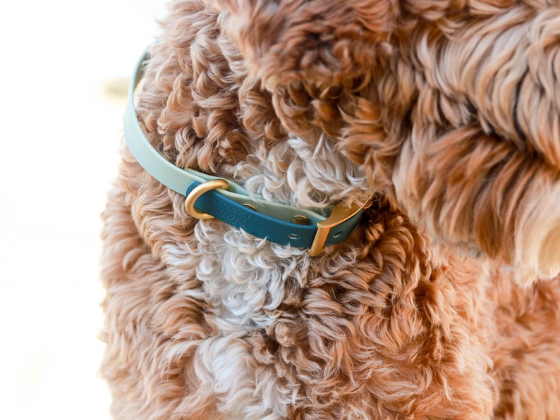 Waterproof Dog Collar Pet Collar Teal Collar PVC Coated Waterproof Personalized Dog Collar Faux Leather Collar Teal Blue image 5