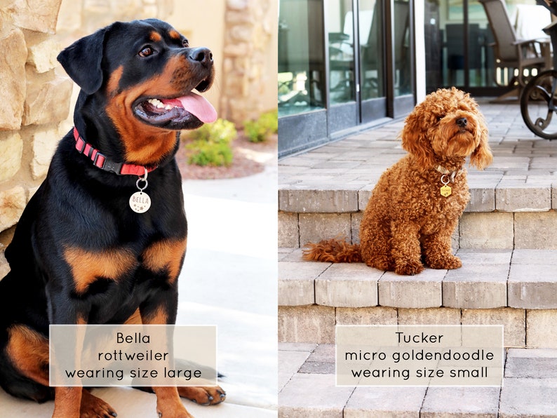 QR Code Dog Tag Dog Collar Tag QR Code QR Code Pet Tag Etsy