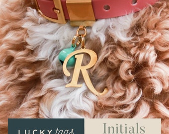 Initial Collar Charm - Letter Tag, Pet Collar Charm, Personalized Pet Tag, Collar Accessory, Pet Jewelry, Initials for Dogs & Cats Tag, CRSV