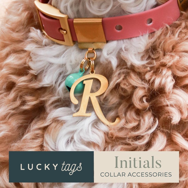 Initial Collar Charm - Letter Tag, Pet Collar Charm, Personalized Pet Tag, Collar Accessory, Pet Jewelry, Initials for Dogs & Cats Tag, CRSV