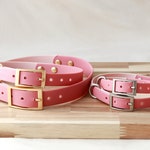 Waterproof Collars