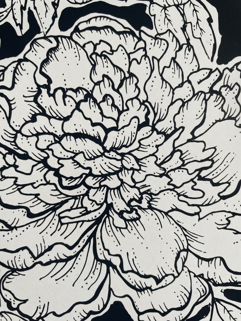 May include: Black and white line drawing of a large, detailed peony flower.