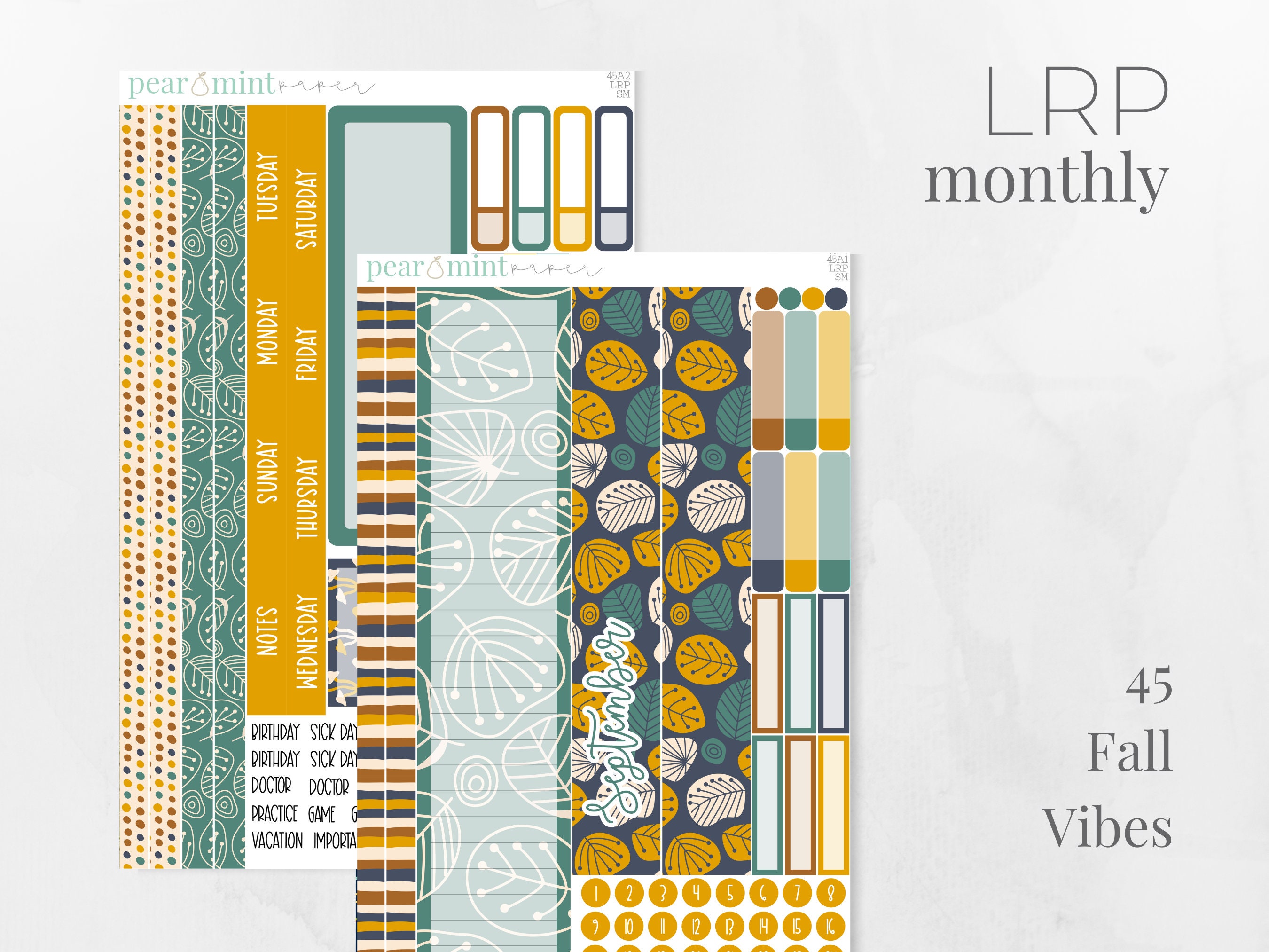 KIT45 | Live Rich Planner The Budget Mom | Monthly Kit Planner Sticke…