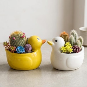 Cute Ceramic Duck Planter Pot - Handmade Animal Figurine & Vase for Indoor Plants, Unique Living Room Decor