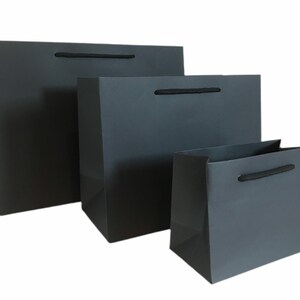 May include: Three gray gift bags of varying sizes are arranged in a row. Each bag has a matching black rope handle. The bags are made of a glossy paper material and are empty.