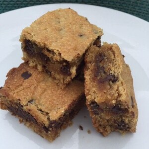 Keto Brownies Peanut Butter Chocolate Chip Blondies Gluten Free Dairy Free Diabetic Friendly 2.1 net carbs Low Carb Peanut Butter Brownies