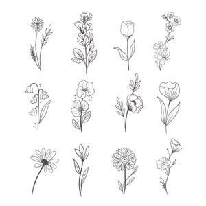 Conjunto de vectores de flores hechas a mano: fácil de usar para cualquier proyecto de diseño de bricolaje