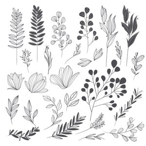 Ensemble de feuilles vectorielles faites main - Facile à utiliser pour tous les projets de design DIY