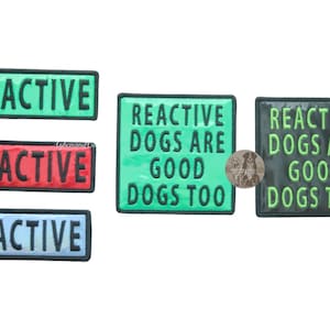 Photo showing available color options for holographic reactive dog patches: blue, green, red, and black.