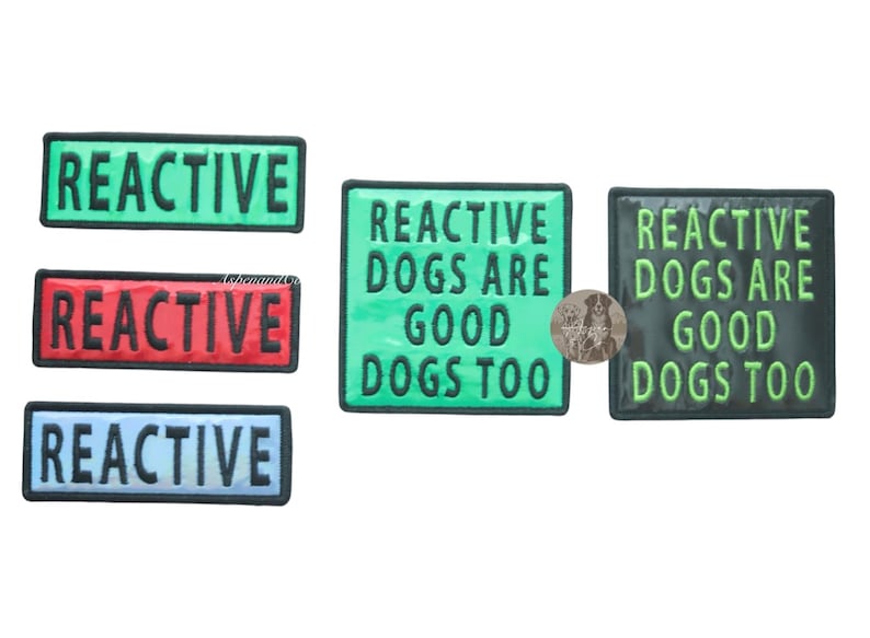 Photo showing available color options for holographic reactive dog patches: blue, green, red, and black.