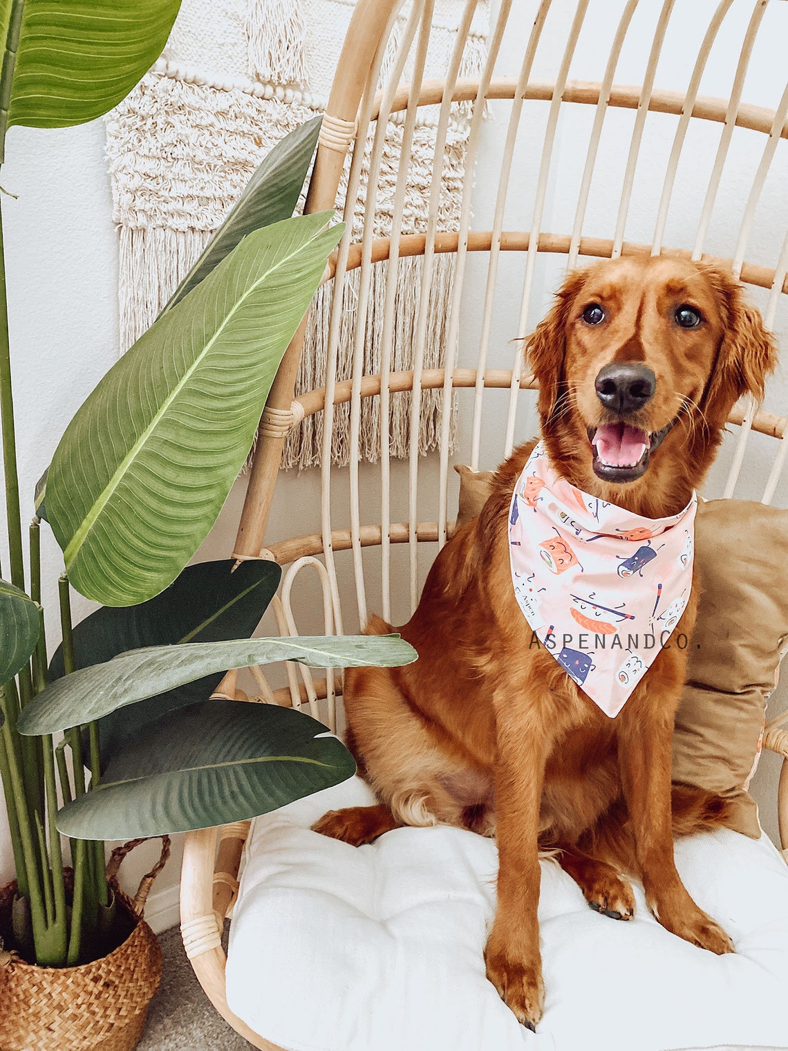 Hunde Bandana Let es Roll Sushi Hunde Bandana Sushi Roll Etsy