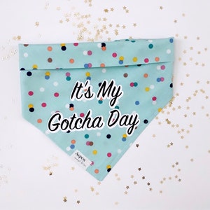 Gotcha Day Dog Bandana/ Party Dog Bandana/ Celebration Dog Bandana/ birthday pup | first birthday | birthday boy | birthday girl | pawty