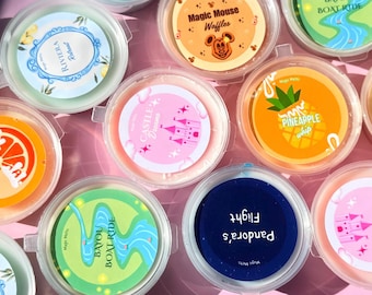 Disney Inspired Theme Park Themed | Scented Soy Wax Melt Pots