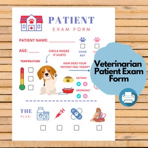 Veterinário fingir jogar arquivo digital, imprimíveis pré-escolares, vestir-se, check-up de animais de estimação, downloads infantis, pré-escola em casa, Montessori PDF