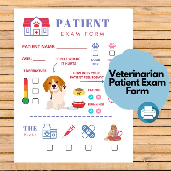 Veterinarian Pretend Play Digital File, Preschool Printables, Dress Up, Pet Checkup, Kids Downloads, Pre-K Homeschool, Montessori PDF