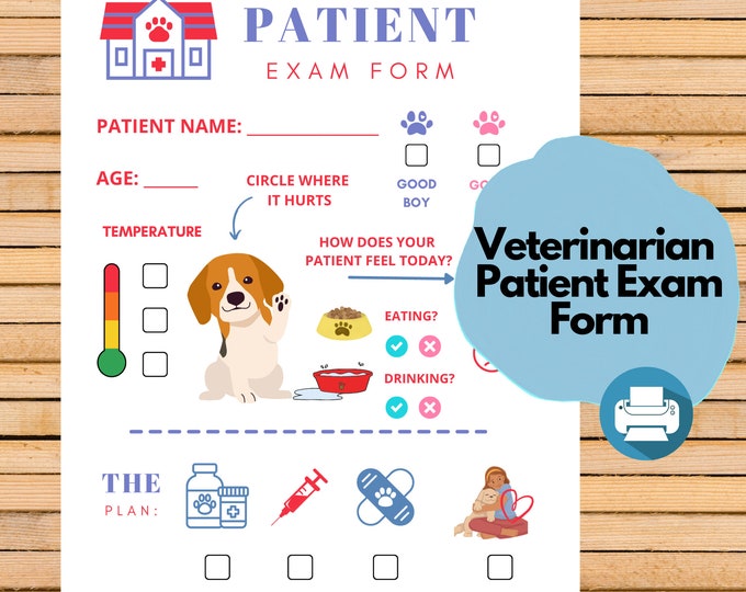 Veterinarian Pretend Play Digital File, Preschool Printables, Dress Up ...