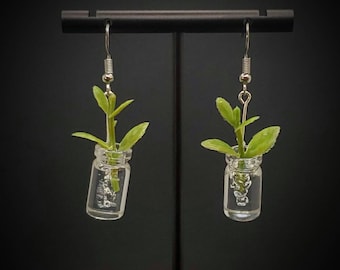 House Plant Clipping Earrings, House Plant Jewelry, jar earrings, nickel free jewelry, plant lover gifts, plant gifts, plant presents